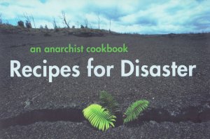 recipesfordisastercover